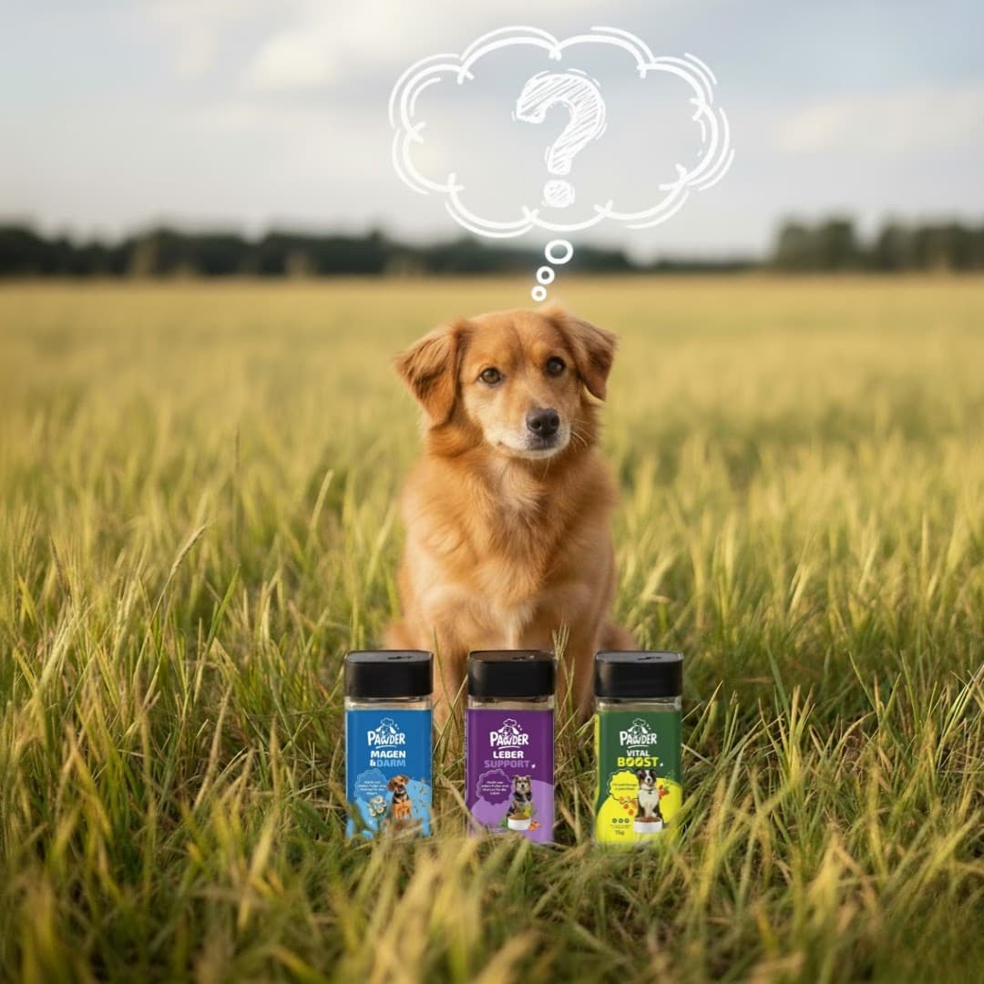 Hund mit PAWDER Produkten - Welches Produkt passt zu meinem Hund?