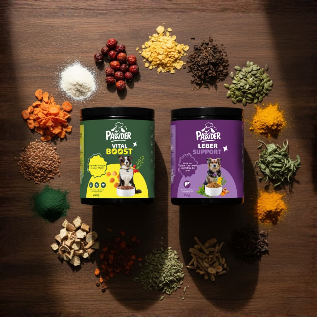 Vital Boost + Leber Support 250g Kombi