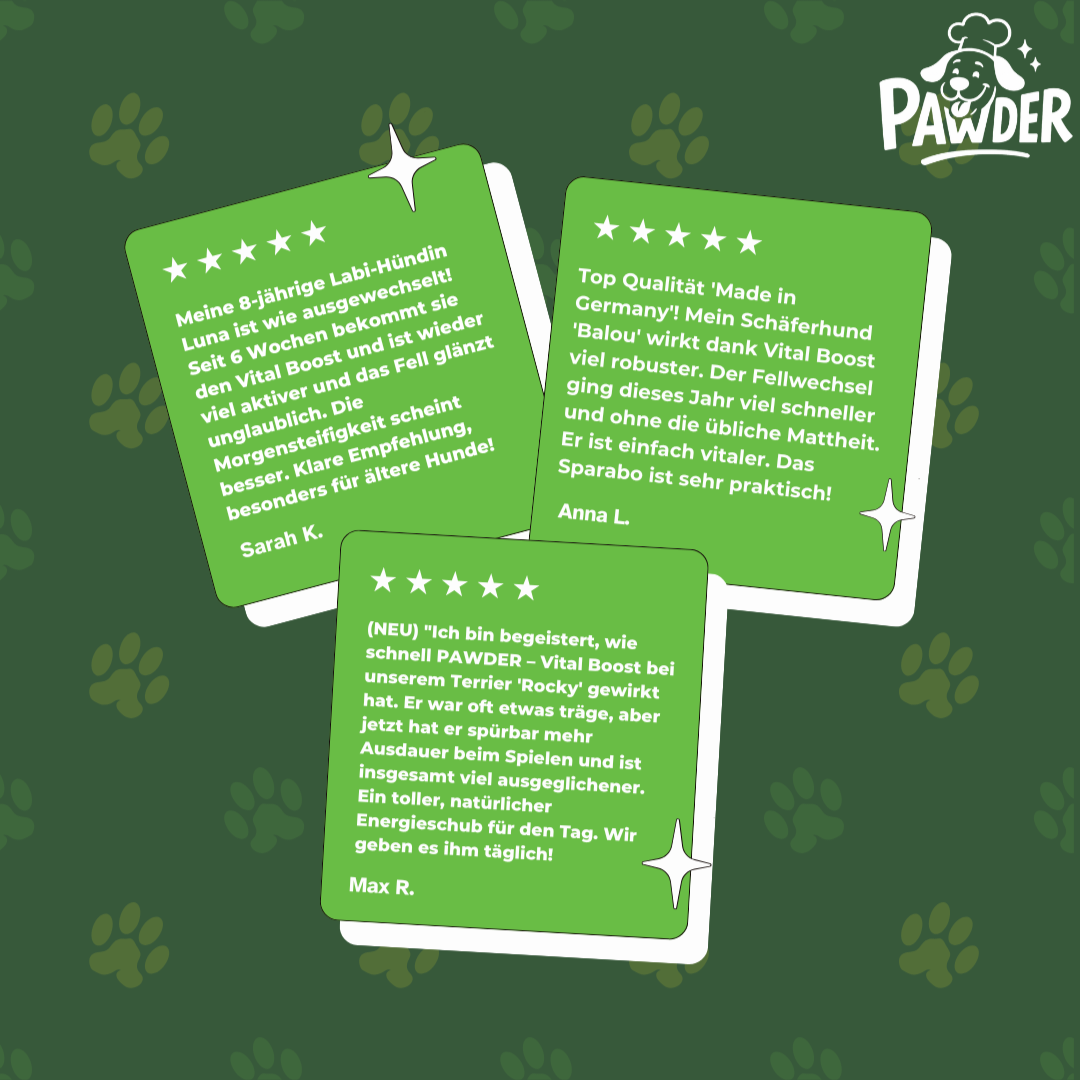 PAWDER – Vital Boost für Hunde - Bild 4